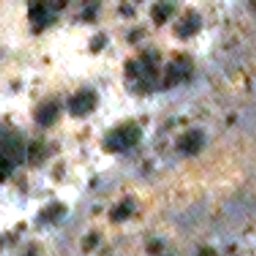 ZMB-WUP-00003 Aug 2023 · dry